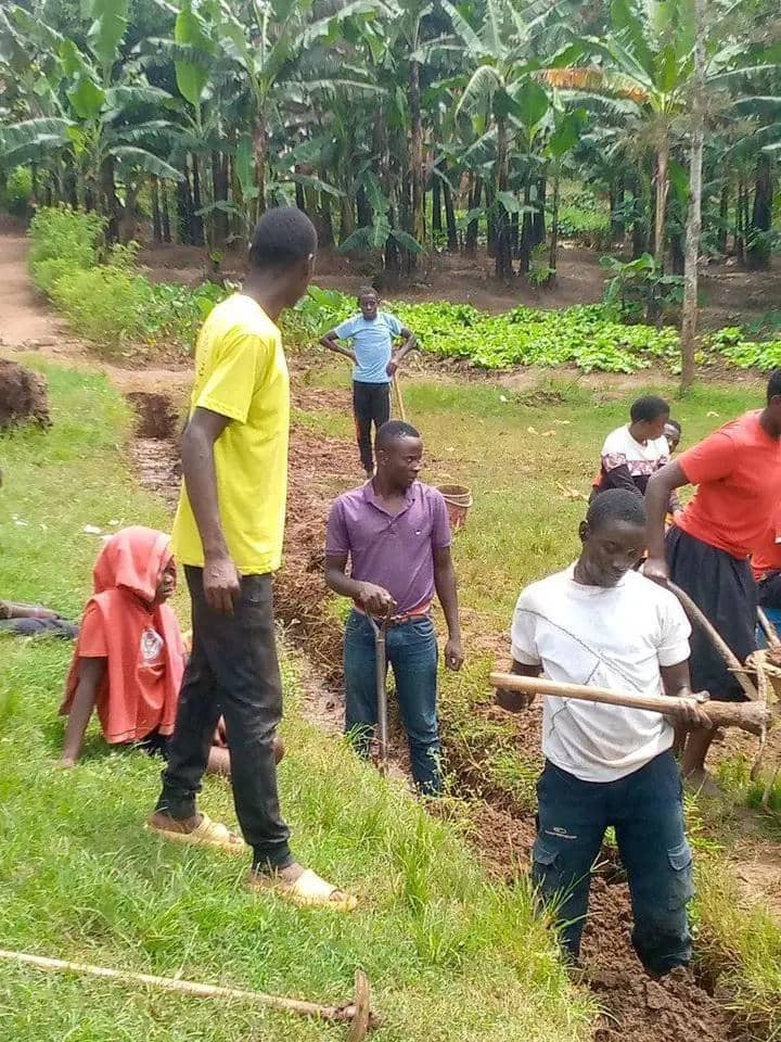 Community clean up
