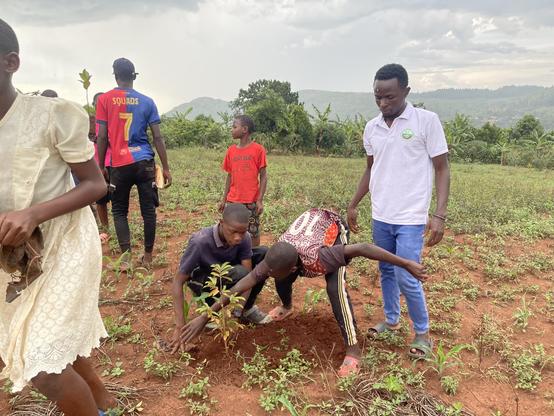 Community clean up